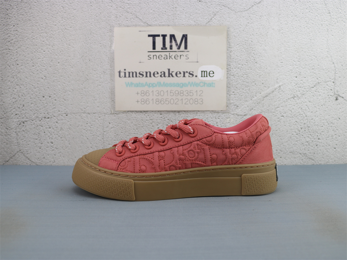 Stone Island x Dior B33 Skateboard Shoes Low-Top Red